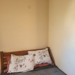 Imagem do WhatsApp de 2025-05-22 à(s) 13.02.00_ed0761e0