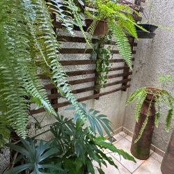 Imagem do WhatsApp de 2025-05-22 à(s) 20.35.26_2a0ab917