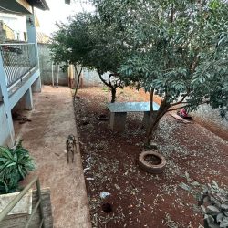 Imagem do WhatsApp de 2025-07-16 à(s) 12.17.27_fda365fb