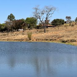 Imagem do WhatsApp de 2025-09-16 à(s) 17.39.14_39269441