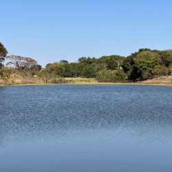 Imagem do WhatsApp de 2025-09-16 à(s) 17.39.14_a1a29062