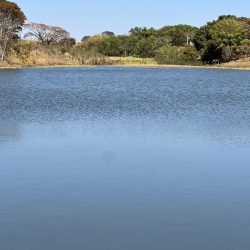 Imagem do WhatsApp de 2025-09-16 à(s) 17.39.14_a41794d7