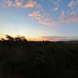 WhatsApp Image 2026-01-29 at 14.44.45 (1)