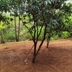 WhatsApp Image 2026-01-29 at 16.32.34 (2)