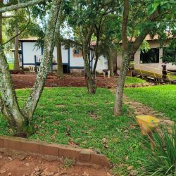 WhatsApp Image 2026-01-29 at 16.32.34