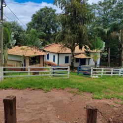 WhatsApp Image 2026-01-29 at 16.32.35