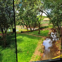 WhatsApp Image 2026-01-29 at 16.32.56 (2)