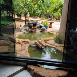 WhatsApp Image 2026-01-29 at 16.32.56