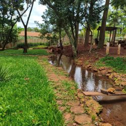 WhatsApp Image 2026-01-29 at 16.33.17 (3)