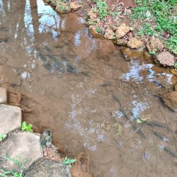 WhatsApp Image 2026-01-29 at 16.33.17