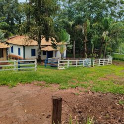 WhatsApp Image 2026-01-29 at 16.33.18 (1)