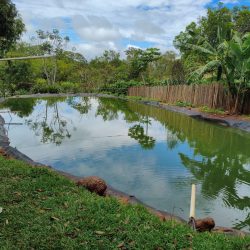 WhatsApp Image 2026-01-29 at 16.33.18