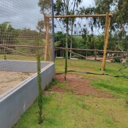 WhatsApp Image 2026-01-29 at 16.46.21