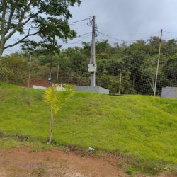 WhatsApp Image 2026-01-29 at 16.46.22