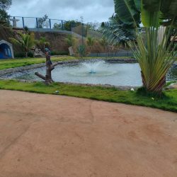 WhatsApp Image 2026-01-29 at 16.46.23 (1)