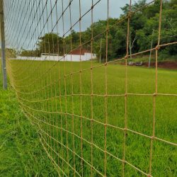 WhatsApp Image 2026-01-29 at 16.46.25 (1)