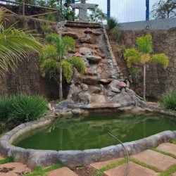 WhatsApp Image 2026-01-29 at 16.46.27